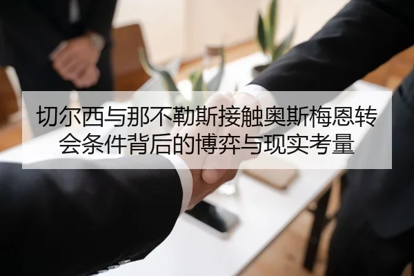 切尔西与那不勒斯接触奥斯梅恩转会条件背后的博弈与现实考量